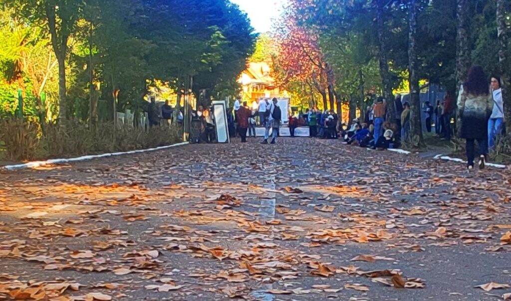 Rua João Alfredo Schneider com as folhas do outono caídas ao chão