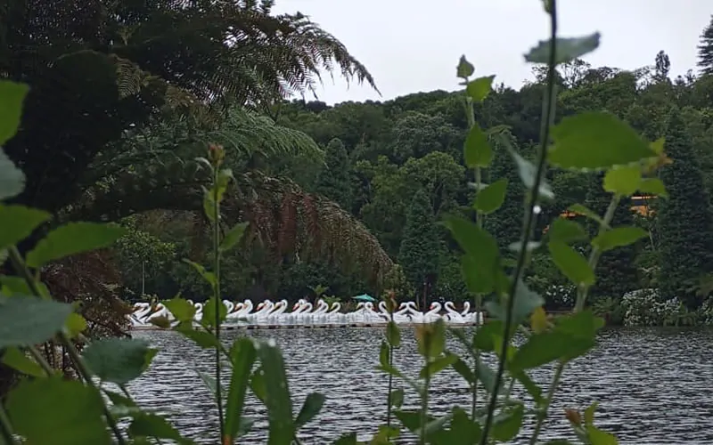 Foto do Lago Negro de Gramado