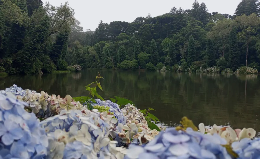 Lago Negro de Gramado, foto em dia nublado mostrando as água escuras