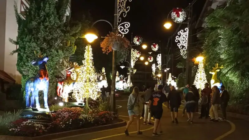 Rua Torta de Gramado com decoração de Natal acesas à noite